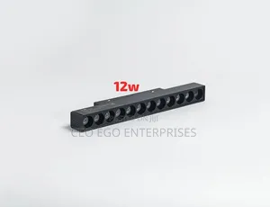 Magnetic Light