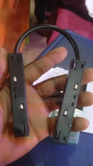 Magnetic Light