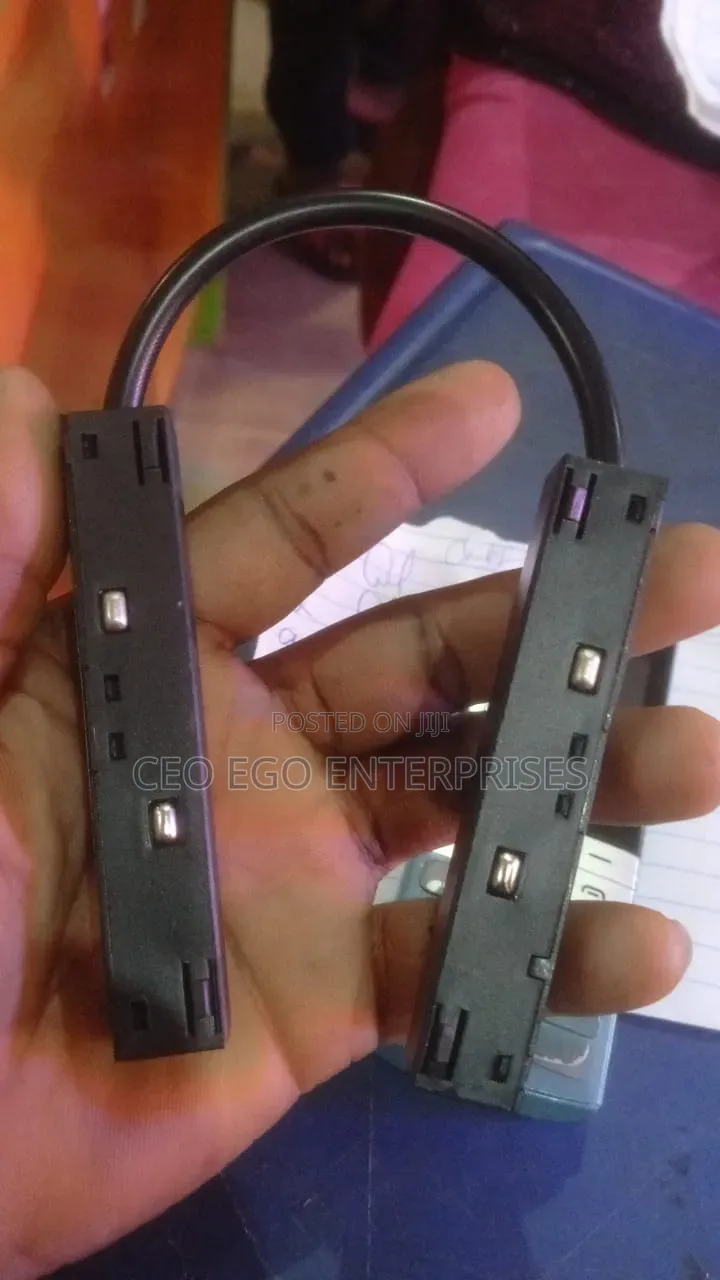 Magnetic Light