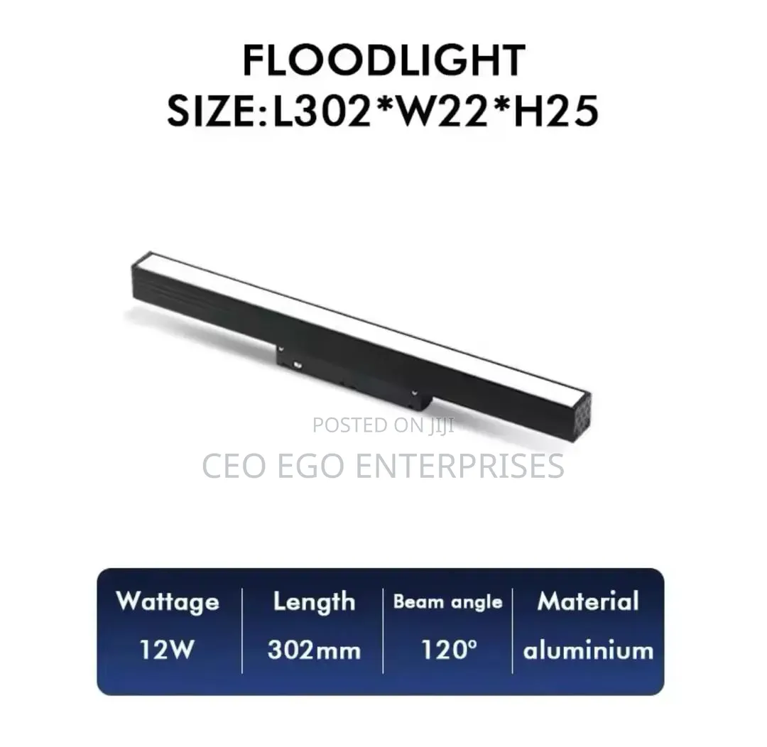 Magnetic Light
