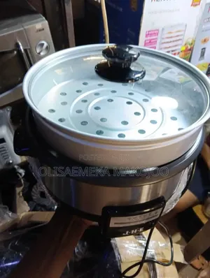 Electric Pot and Steamer