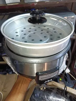 Electric Pot and Steamer