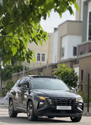 Hyundai Tucson 2024 Gray