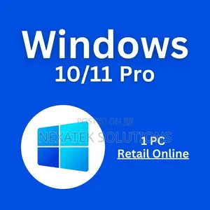 Windows 10/11 Pro 1 User Lifetime