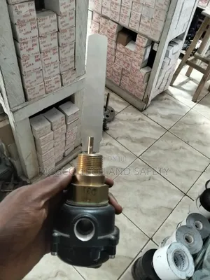 Paddle-Style Liquid Flow Switch