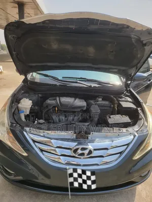 Hyundai Sonata 2013 Blue