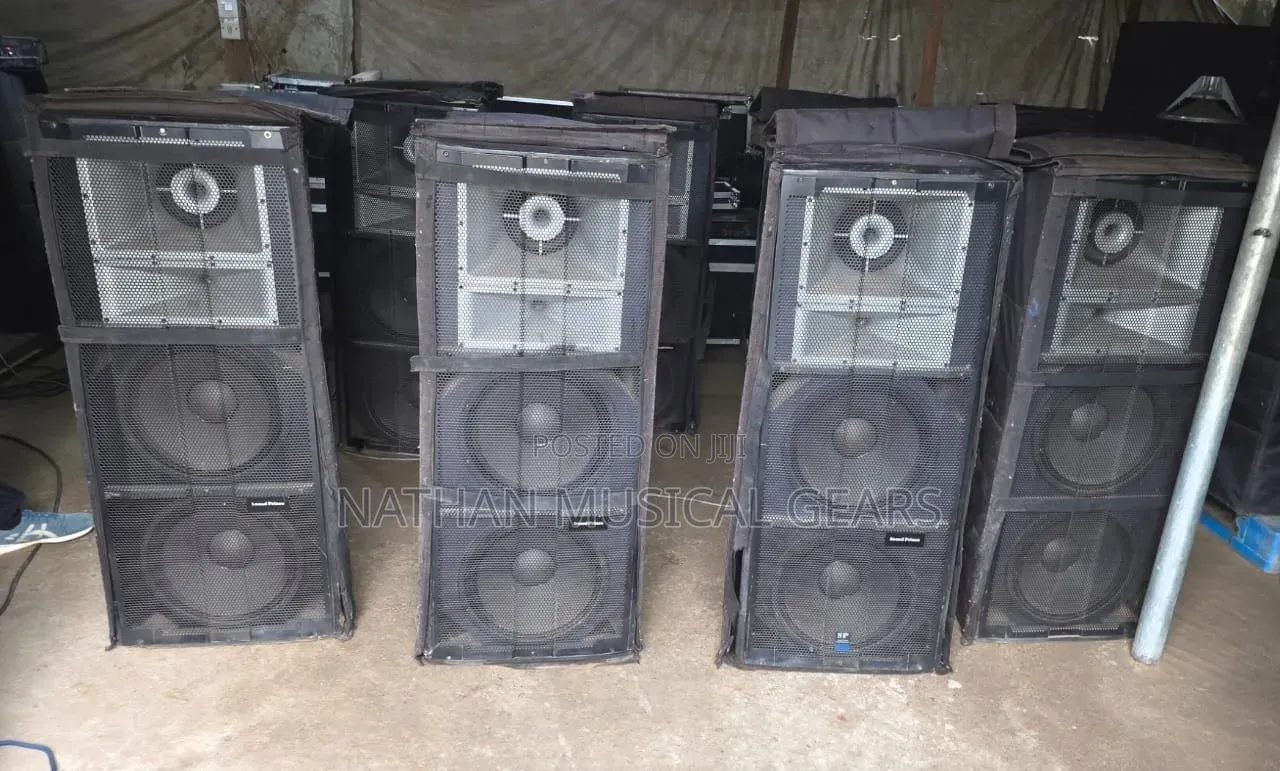 SP Array Pair Speaker