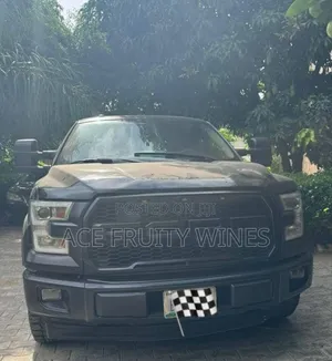 Ford F-150 XLT 2011 Black