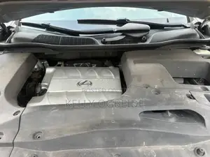 Lexus RX 2010 Silver