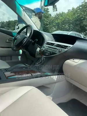Lexus RX 2010 Silver
