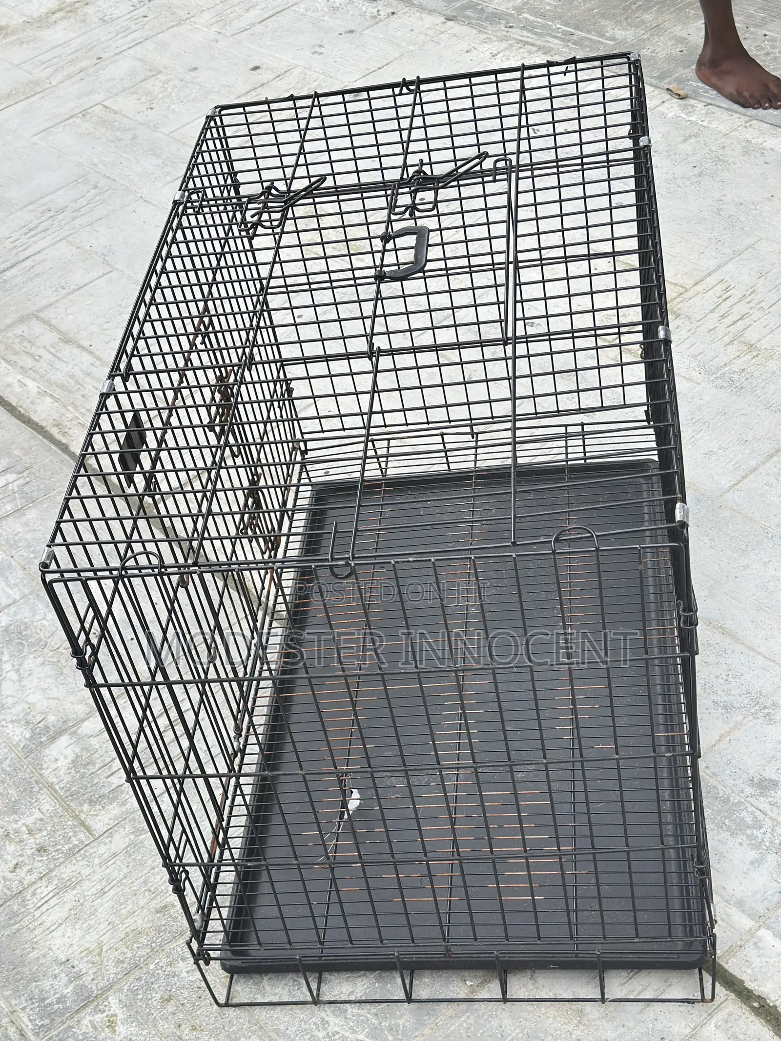 Dog Cage Etc