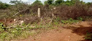 Agricultural Land for Sale Near Abeokuta