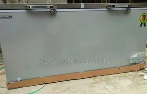 500 Liters Scanfrost Deep Freezer – Quality Choice