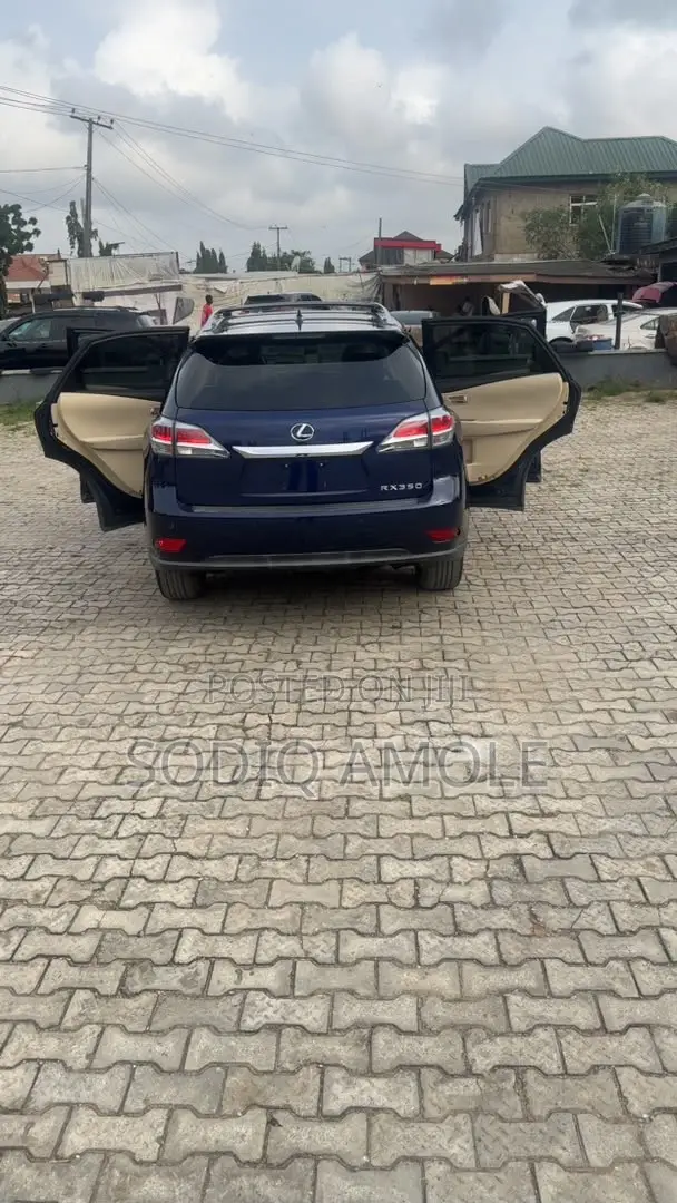Lexus RX 2013 Blue