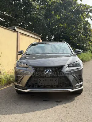 Lexus NX 300 FWD 2017 Gray