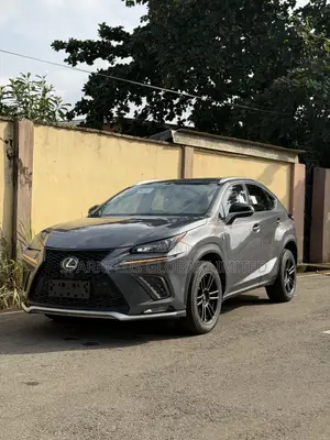 Lexus NX 300 FWD 2017 Gray