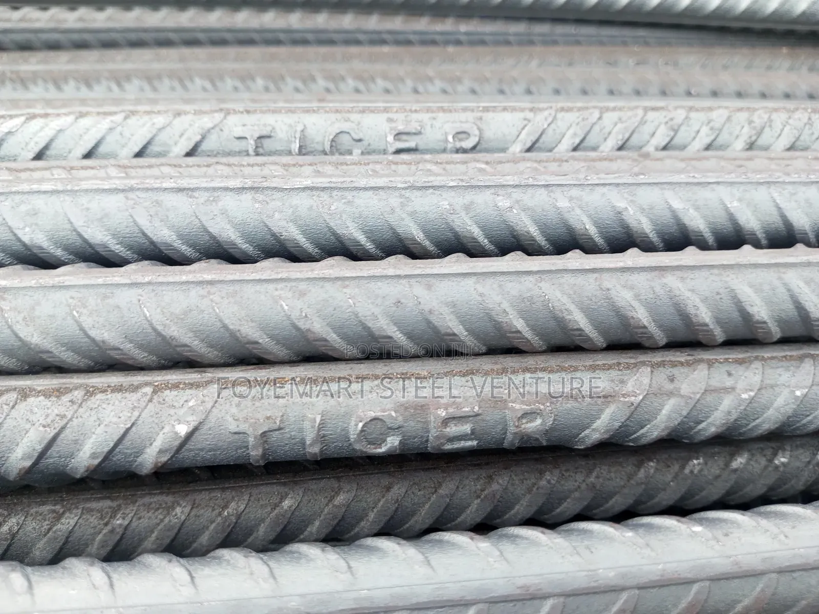 Real Steel TMT Standard