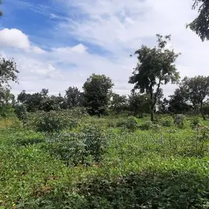 100 Feet by 100 Feet for Sale