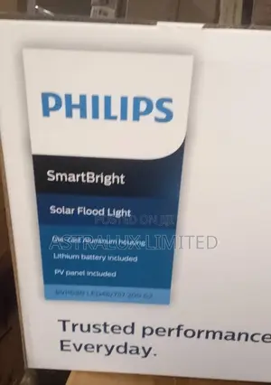Philips Smart Bright Solar Flood Light