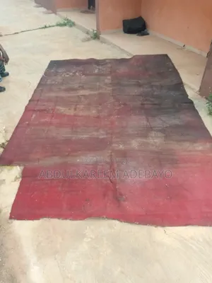Fairly Used Rug
