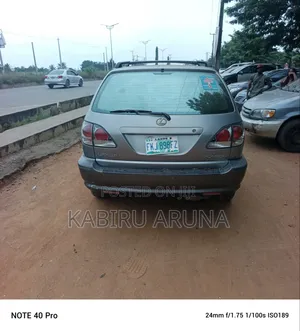 Lexus RX 2002 Gray