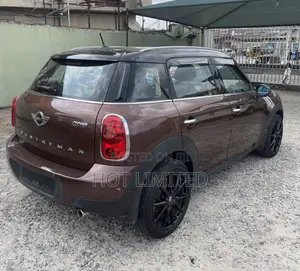 Mini Countryman 2014 Brown