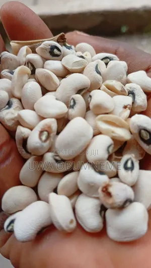 Beans Paint