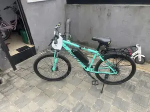 Electric Bicycles