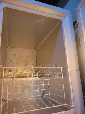 Thermocool Freezer 146l