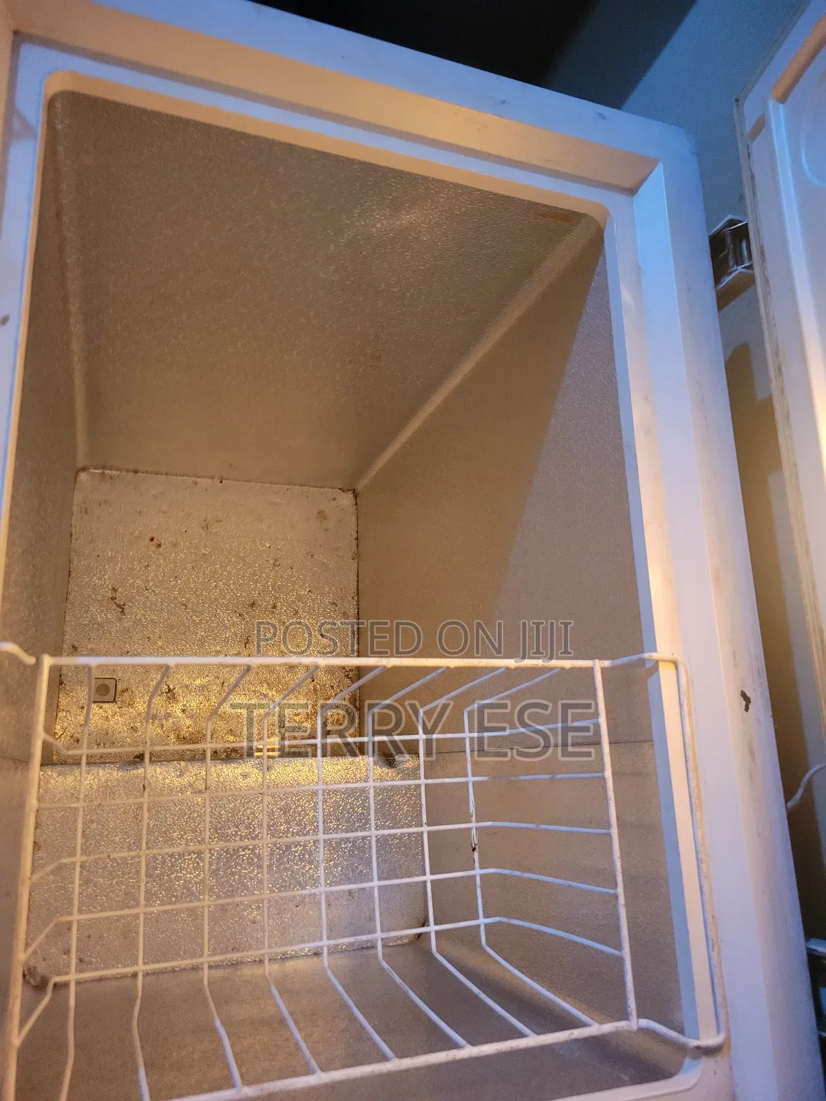 Thermocool Freezer 146l