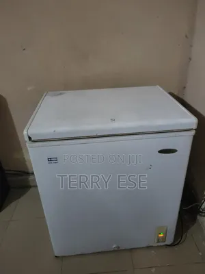 Thermocool Freezer 146l