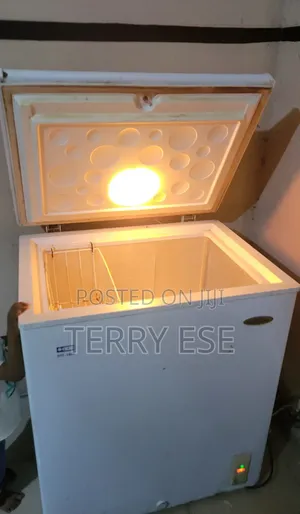 Thermocool Freezer 146l