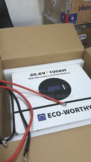 2.5kwh Eco Worthy Lithium Battery
