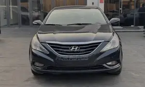 Hyundai Sonata 2011 Blue