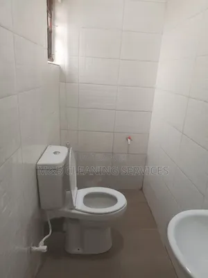 Professional Toilet Cleaning.