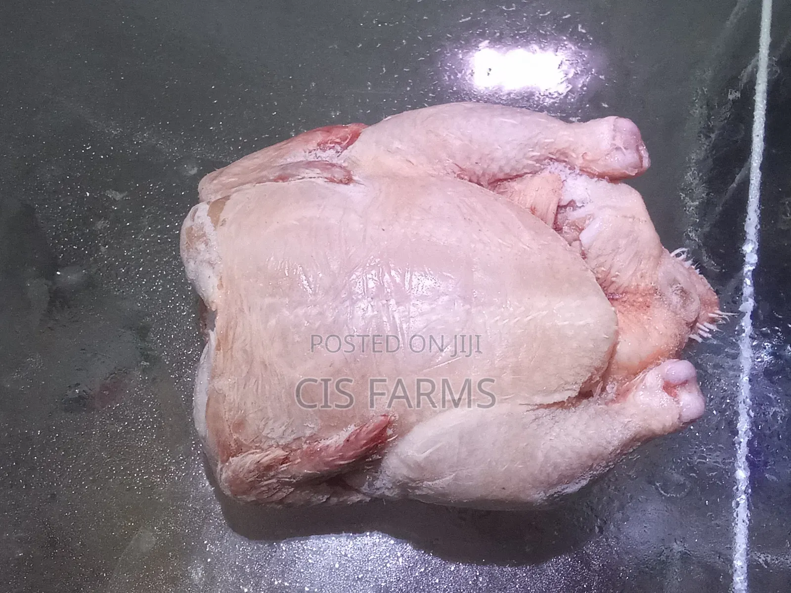 Full Frozen Chicken