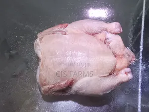Full/Whole Frozen Chicken