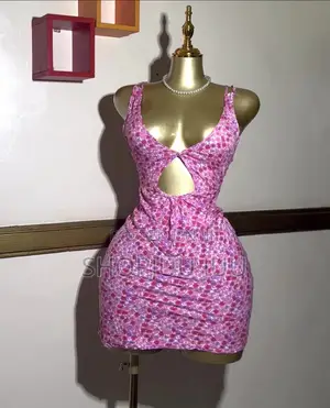Elegant Ladies Thrift Dress | Affordable Stylish