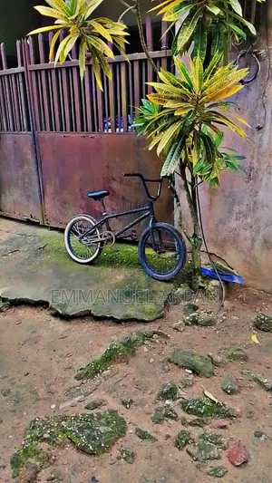 BMX Bicycle