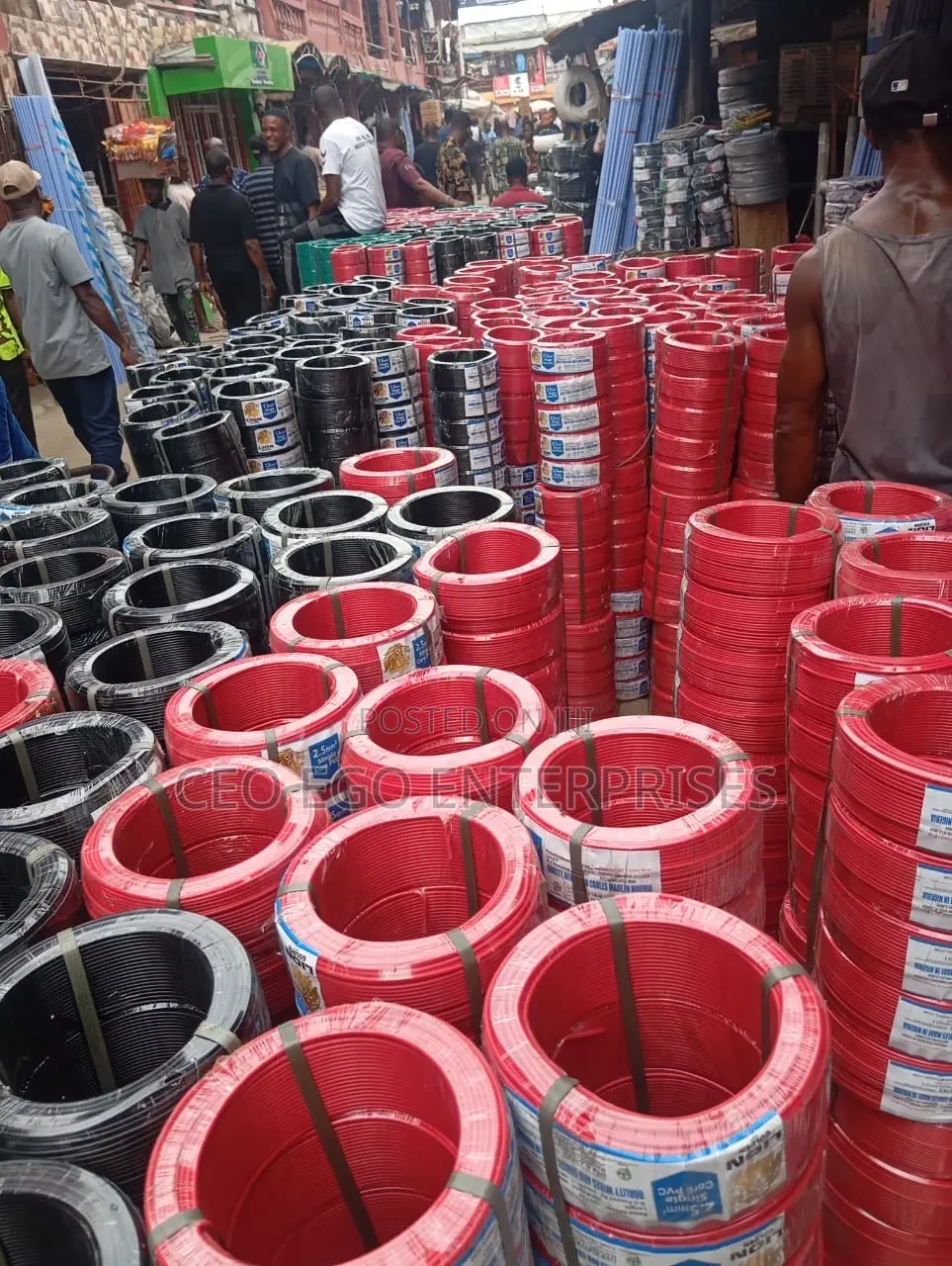 Lion Cable