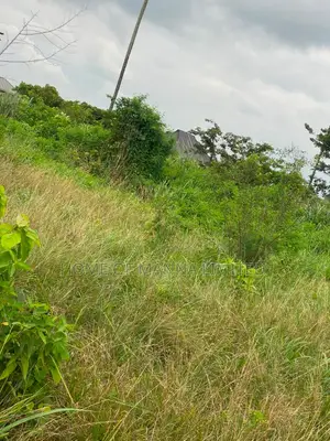 A Plot of Land in Alagbaka Extension-#8.5m