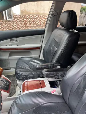 Lexus RX 330 4WD 2003 Gray