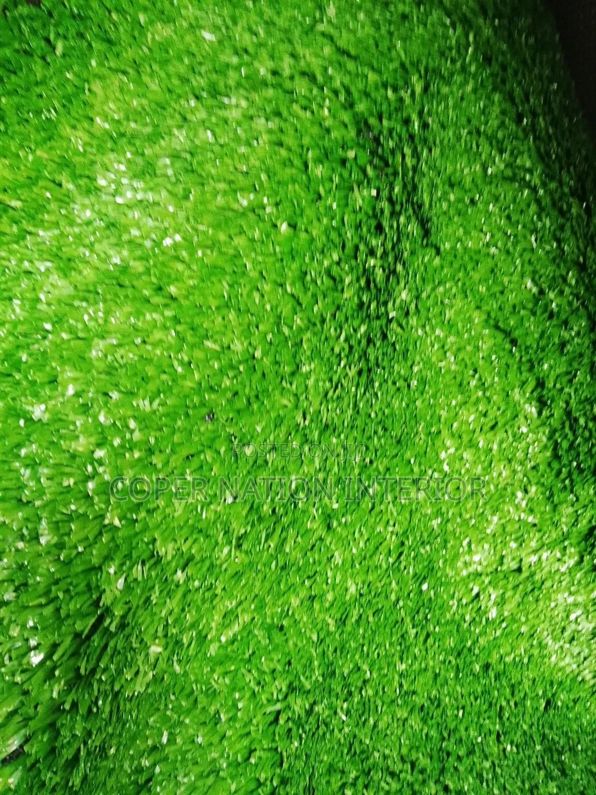 Artificial Grass Carpet