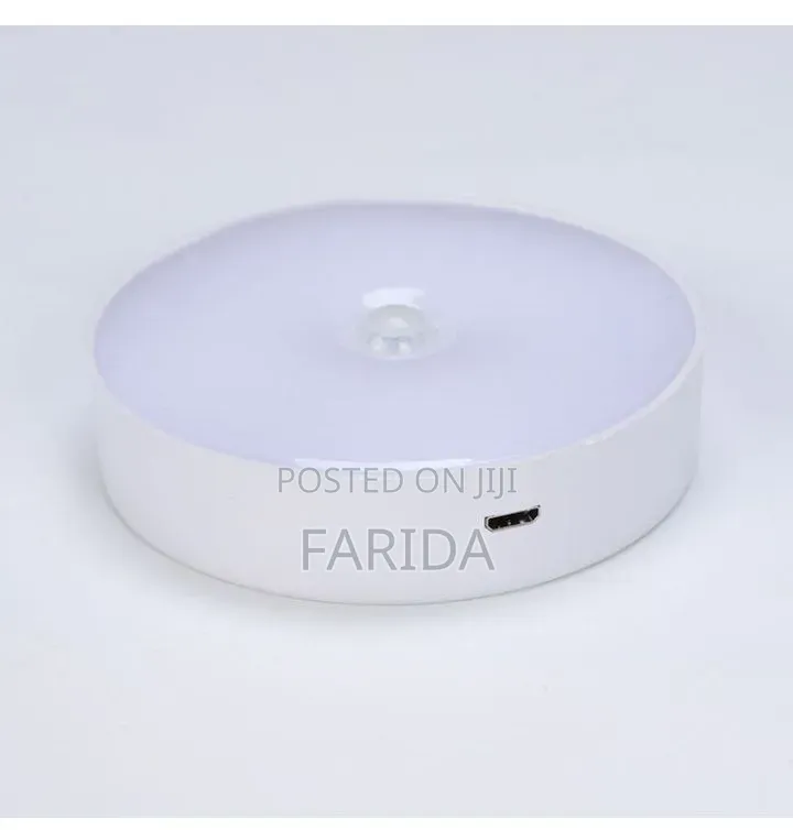 Intelligent Induction Lamp