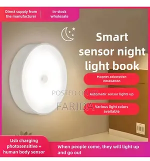 Intelligent Induction Lamp