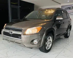Toyota RAV4 2010 Beige