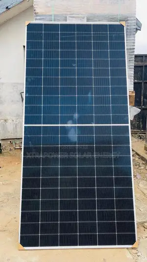 620w Longi Bifacial Panel
