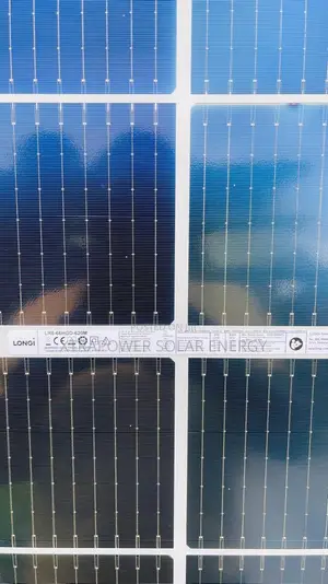 620w Longi Bifacial Panel