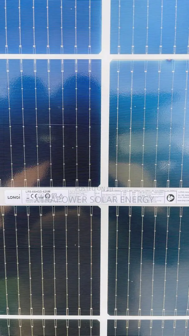 620w Longi Bifacial Panel