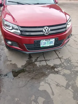 Volkswagen Tiguan 2013 Model